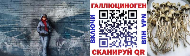 сайты даркнета какой сайт  Дно  Псилоцибиновые грибы ЛСД 